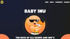 Web capture_16-11-2022_202430_www.babyinu.finance