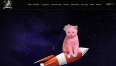 Web capture_28-12-2022_133833_saulpinkrocket.com