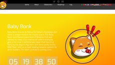 Web capture_11-1-2023_182116_babybonkcoin.com