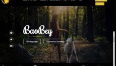 Web capture_11-1-2023_183017_baobeytoken.com Web capture_11-1-2023_183017_baobeytoken.com