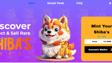 Screenshot 2024-03-10 151440 Screenshot 2024-03-10 151440