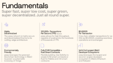 Screenshot 2024-05-11 084807 peaq-token-fundamental