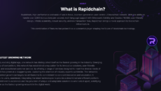 Rapid Chain ICO Listing Rapid Chain ICO Listing