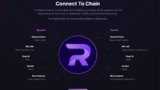 Rapid Chain ICO Listing Rapid Chain ICO Listing