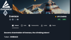 everace_image1 everace_image1