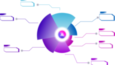 everace_image7 everace_image7