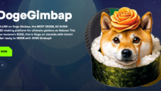 DOGEGIMBAP ICO presale listing on icogemhunters DOGEGIMBAP ICO presale listing on icogemhunters