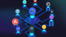 Tanuki Launchpad ICO presale Tanuki Launchpad ICO presale