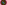 QmXZ47xds5R1KunPMuwaUbvePaqZtWQSijDs6WnpEgN694